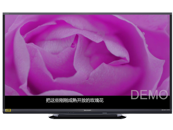 5c7570049dc4d (1).png