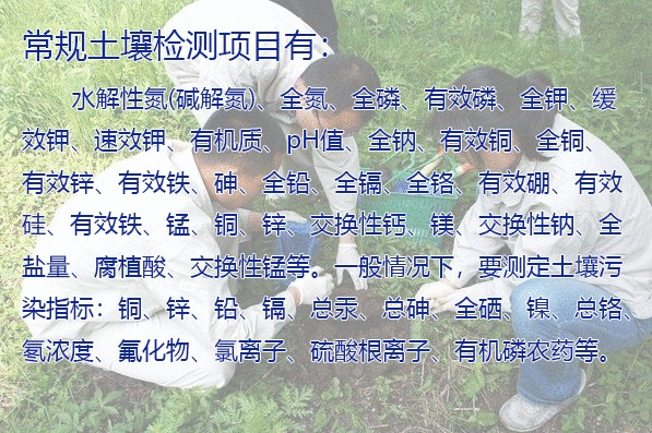 2121.gif