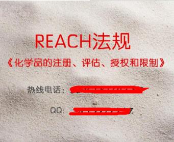 ɽREACH161ֻ֤߿ض.jpg
