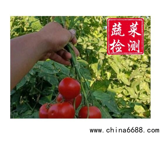 QQ截图20211104112542
