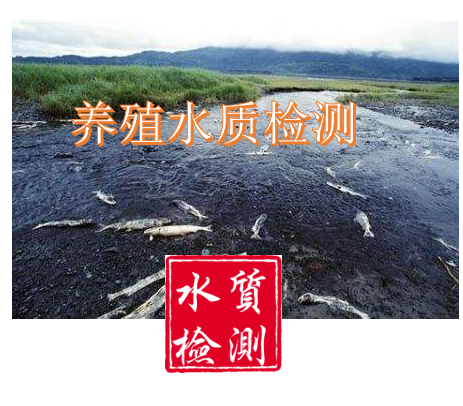 QQ截图20220301101152.png