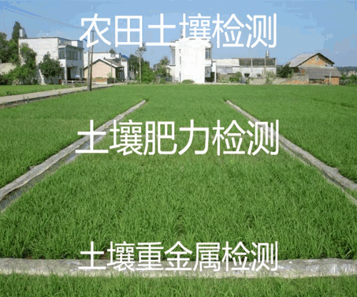 ɽؽԪؼ.gif