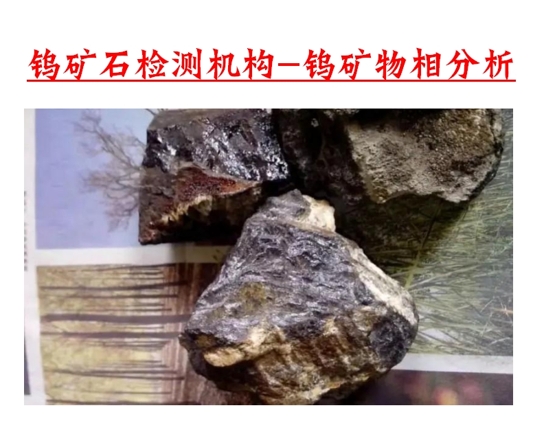 ΢Žͼ_20241010102731.png