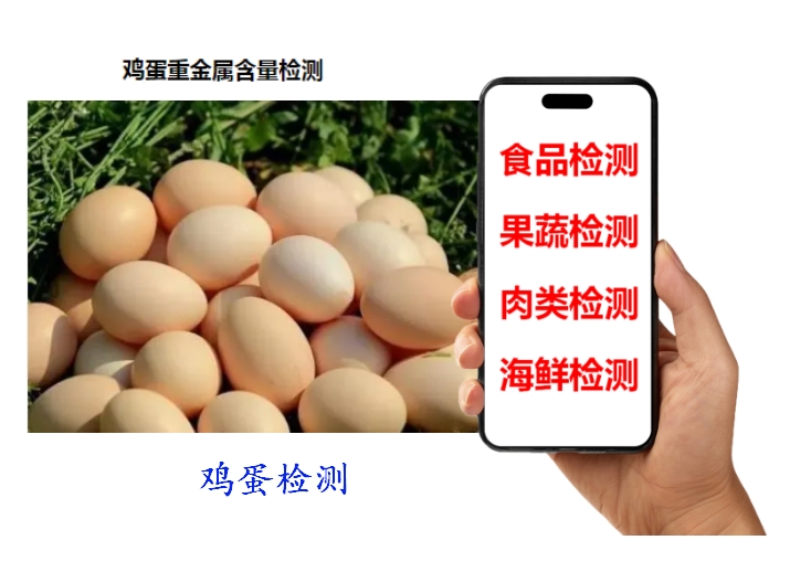 ΢Žͼ_20241119112013.png