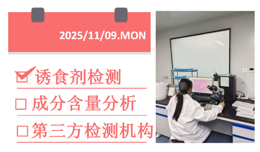 1762657869260340.png 1762657869260340.png