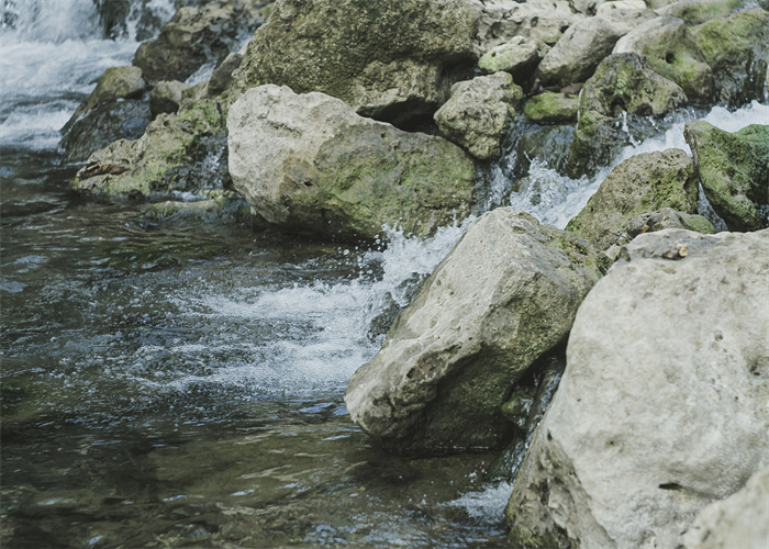 水131